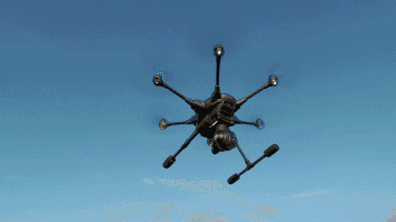 640 (1).gif